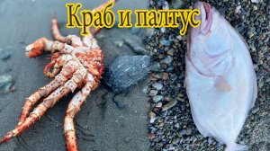 Краб и палтус | Закрываю сезон морской навигации