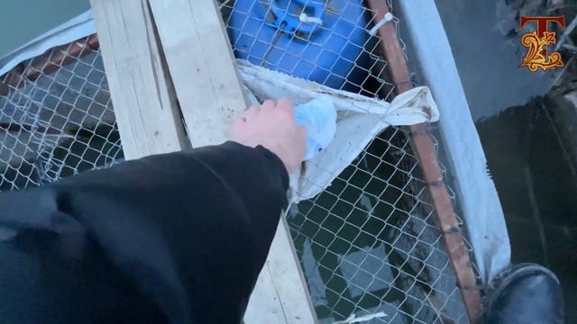 4 февраля 2023 год осетр начал питаться смотреть онлайн