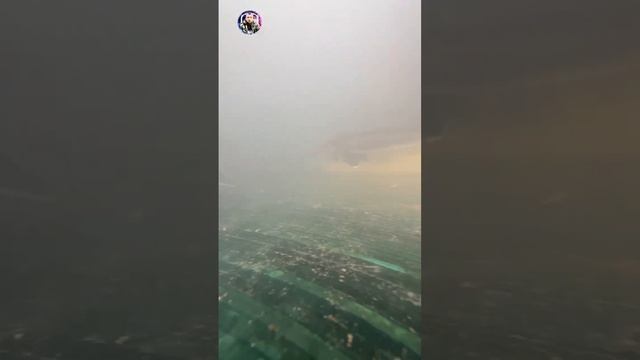 Подводная сёмка смотреть онлайн