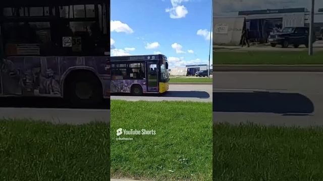 Жёлтый автобус МАЗ. Во Пскове. Маршрут: 55