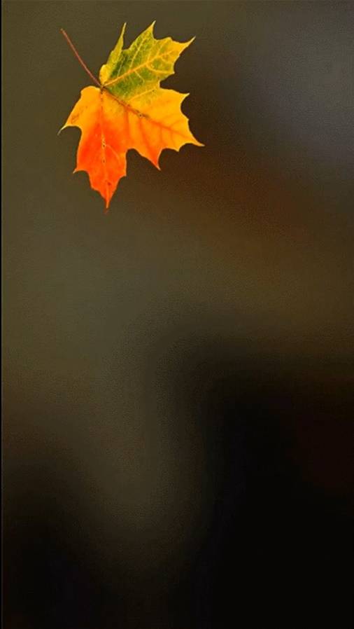 Иногда смотреть онлайн