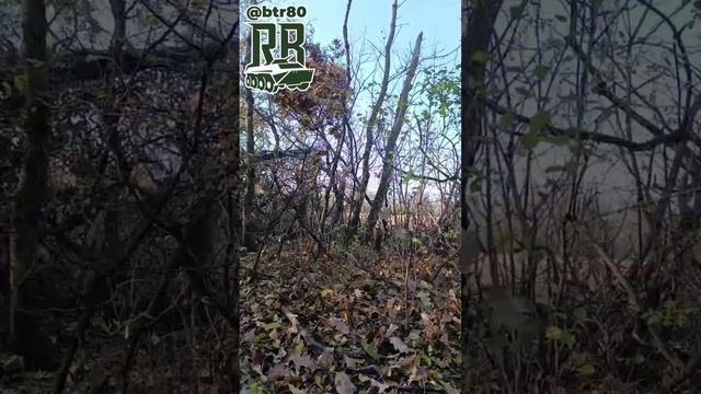 ⚡️СВО 18+ Танковый батальон "Черных барсов" группировки "Центр" накрывает позиции врага смотреть онлайн