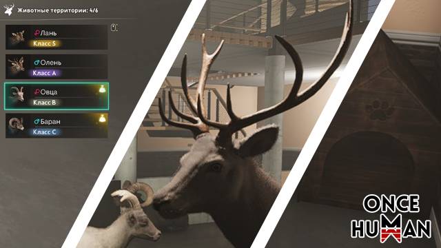 Цель сезона: 200 продуктов животноводства в ONCE HUMAN смотреть онлайн