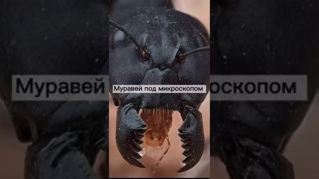 Я БЫЛА В ШОКЕ #shorts #reels #recommended