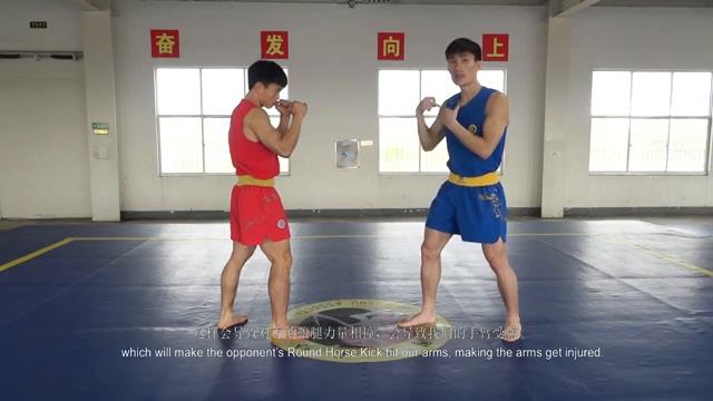 Sanda Basic Techniques_ Defense Basics-1 смотреть онлайн