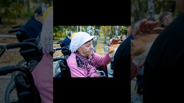 Трогательные встречи смотреть онлайн