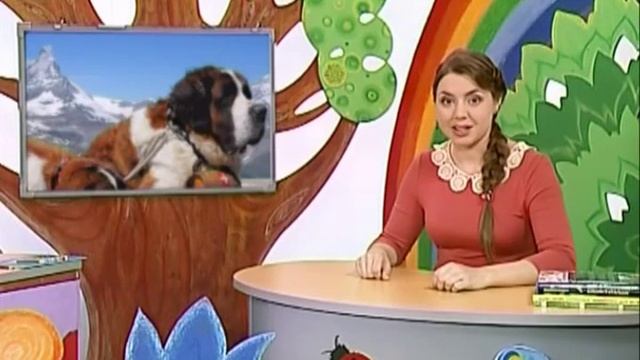 Природоведение 59. Служебные собаки — Шишкина школа