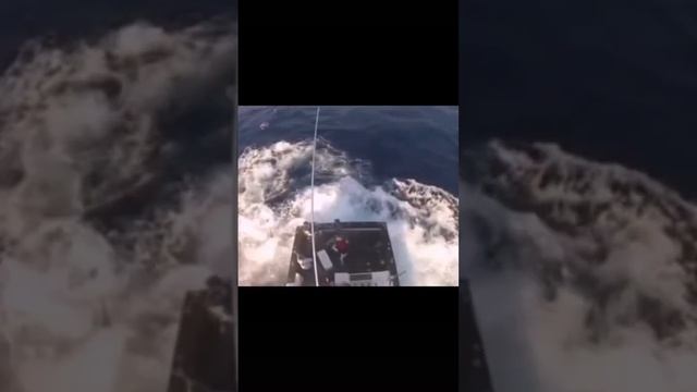 Ловля марлина смотреть онлайн