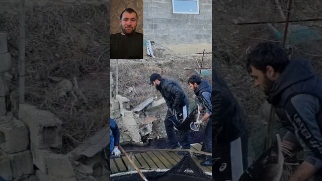 Огромный БЕСТЕР 45 кг. смотреть онлайн