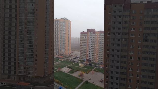 первый снег в Питере #зима пришла