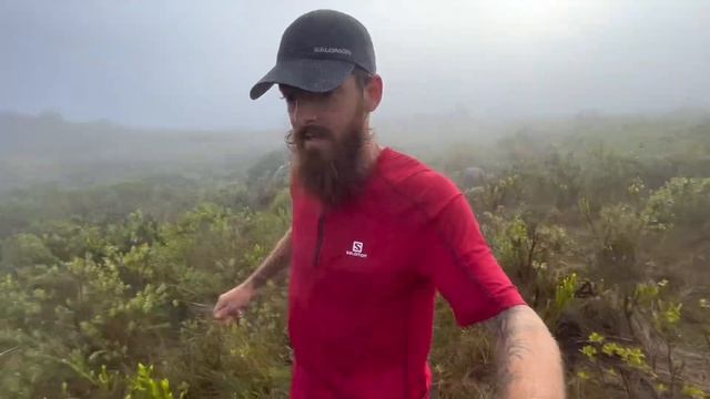 Salomon Sense Ride 5 - Primeiras impressões смотреть онлайн
