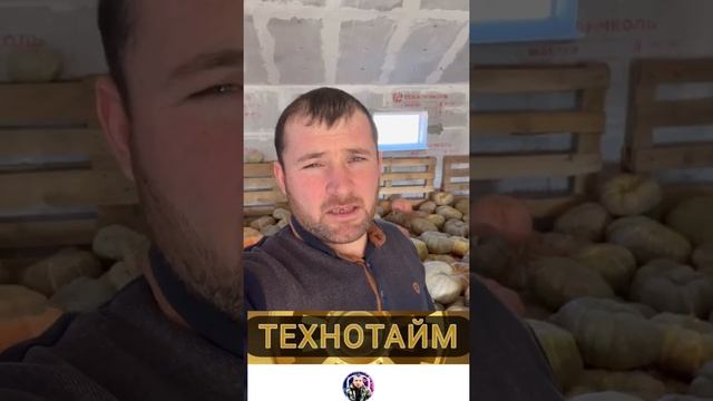 Лучшее хранение тыквы #хранениетыквы