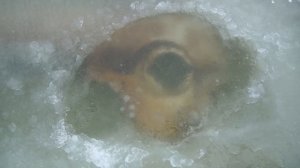 Эти опасные и жуткие находки мы нашли во льдах, где затонула буханка!