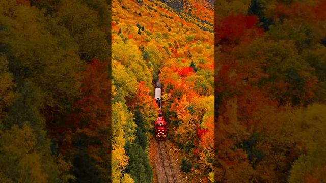 Осень во всей своей красе 🍁🚂 #осень #осенниекраски #осенняялиства #осеннеенастроение#поход смотреть онлайн