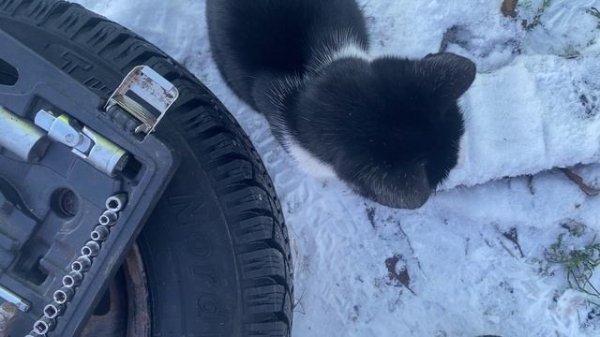 Поло седан рулевые наконечники Lemforder прошли 5 лет, 160тыс км (Стук рулевой рейки)