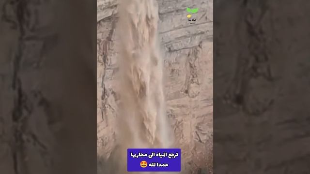 حمدا لله ♥️ "و جعلنا من الماء كل شيء حي " ... смотреть онлайн