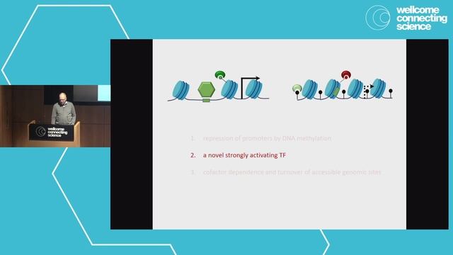 Finding your place: transcription factors as sensors and modifiers of the epigenome | Dirk Schübele смотреть онлайн