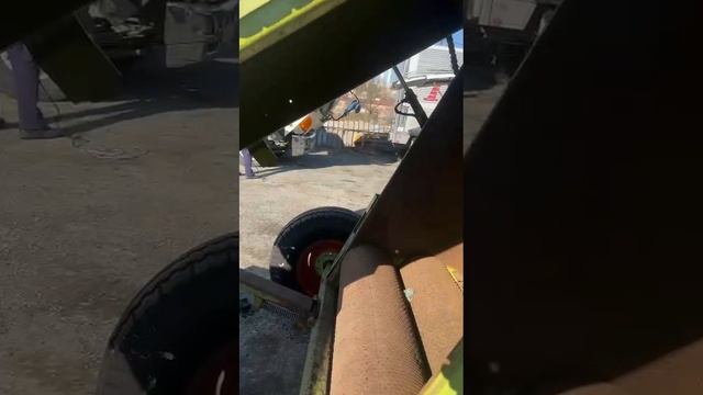 VID-20241101-WA0011 смотреть онлайн