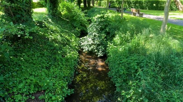 🇩🇪 МОЙЗЕЛЬВИЦ Германия 30/05/2023 OK-TV смотреть онлайн