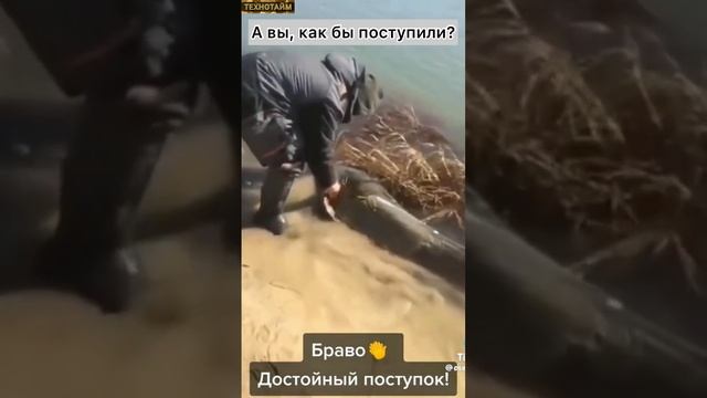 Отпускает нечто смотреть онлайн