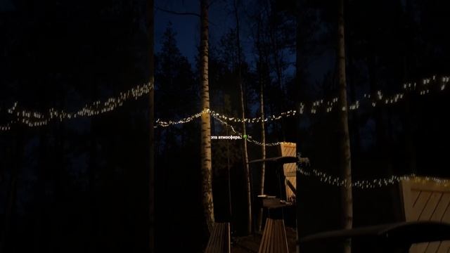 лес  #love #music #piano #shorts #видео