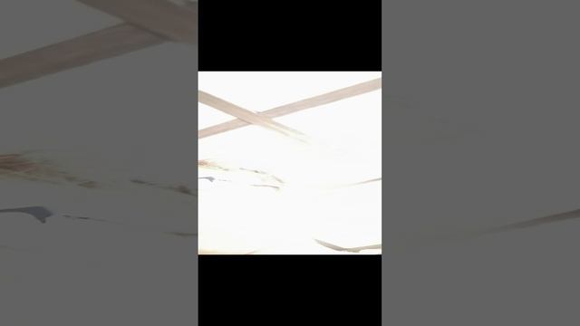 VID_20241102_141820.mp4 смотреть онлайн