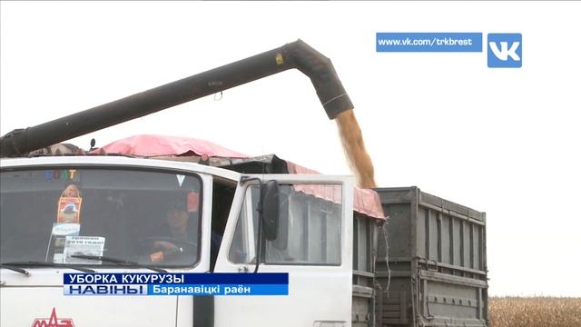 УБОРКА КУКУРУЗЫ (Відэа) смотреть онлайн