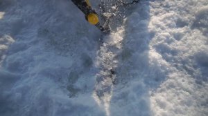 Эти опасные и жуткие находки мы нашли во льдах, где затонуло огромное чудовище!