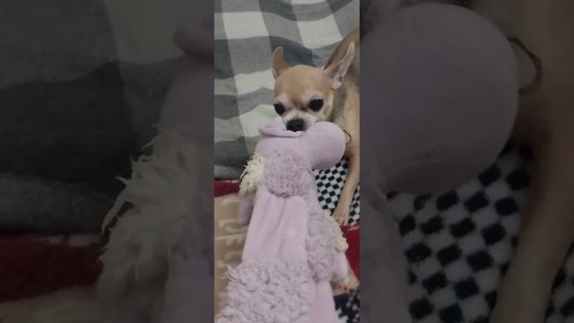 Это моя игрушка