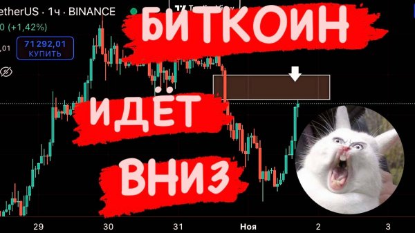 БИТКОИН ИДЕТ ВНИЗ! Только не надо делать ЭТО