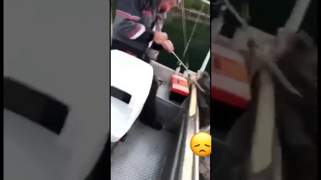 Неудача на рыбалке смотреть онлайн