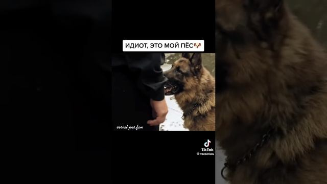 потому что он мой 😏🔥 смотреть онлайн