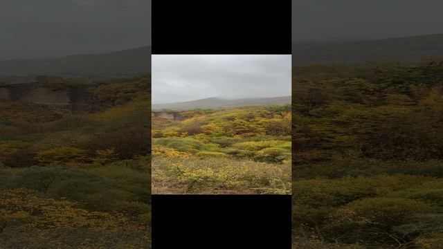 Золотая осень