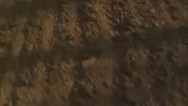 Нестор Махно — украинский крестьянин. (Hélène Chatelain)1996 (Rus)