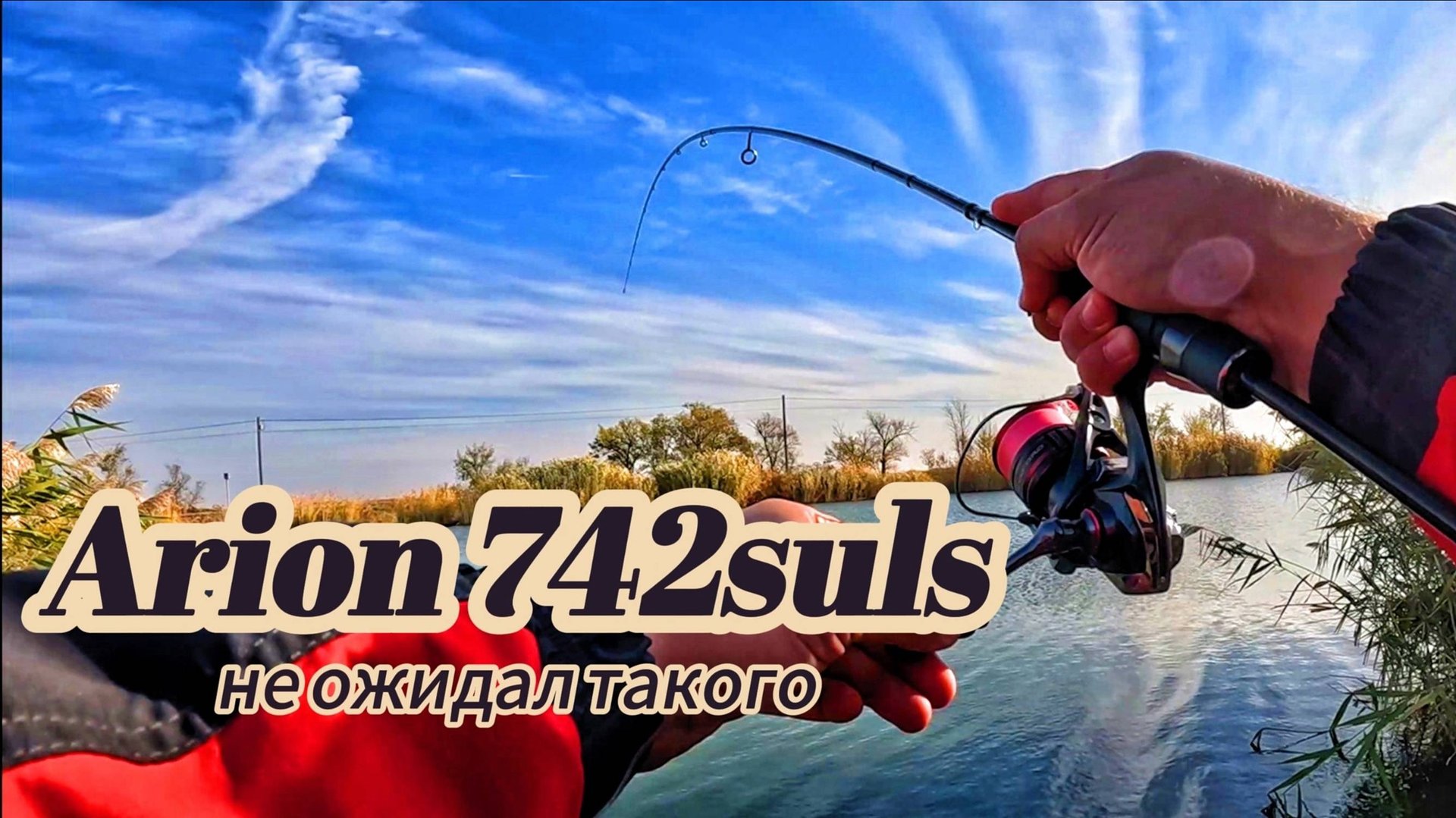 ЭТИ ОКУНИ ГНУТ СПИННИНГ В ДУГУ | МИКРОДЖИГ НА ARION 742SULS