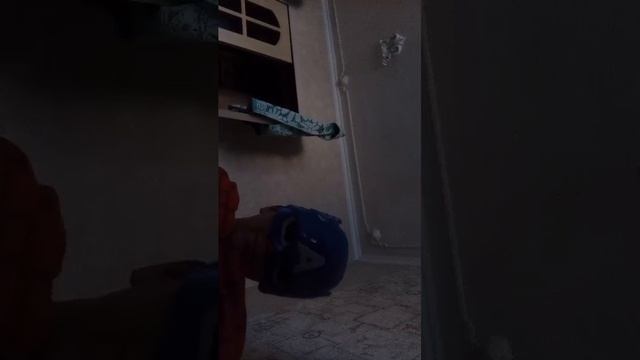 bn смотреть онлайн