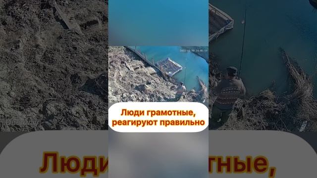 Камера наблюдения за рыбой #белуга #осетр #рыбалка #стерлядь #икра #черная #чернаяикра смотреть онлайн