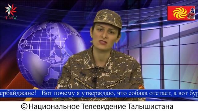 Да, Талышский ''сепаратизм''. Talyshistan Tv 11. 09. 2020 News смотреть онлайн