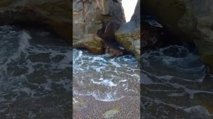 Релакс, море