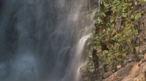 Красивая природа леса горы и море