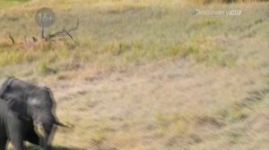 Эд Стэффорд Голое выживание 2 сезон 2 серия Ботсвана