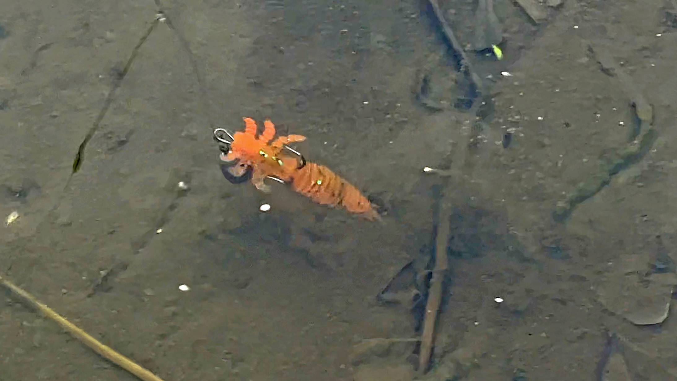 С таким Окунем и щук не надо! КРУПНЯК ЖИРУЕТ на мели! Рыбалка на спиннинг. Джиг риг смотреть онлайн