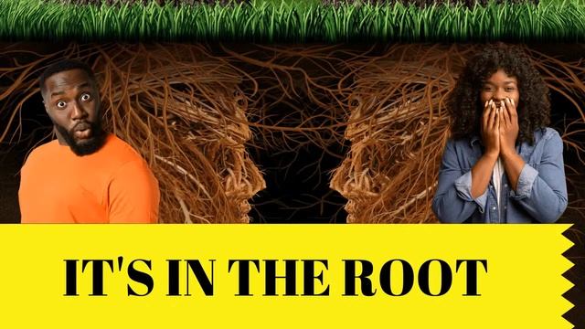 Is the root chakra real? Soul Therapy смотреть онлайн