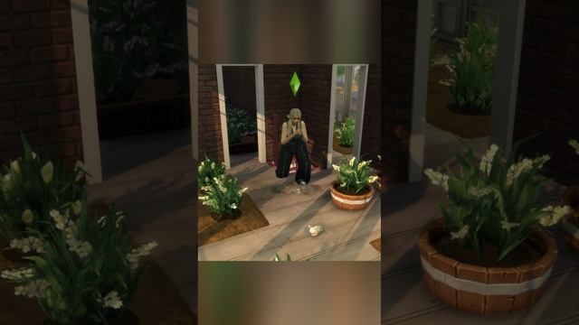 УМОЛЯЮ ПЫЛЬ 🧹#нипылинки #sims4 #thesims4 #sims4build #sims4mods смотреть онлайн