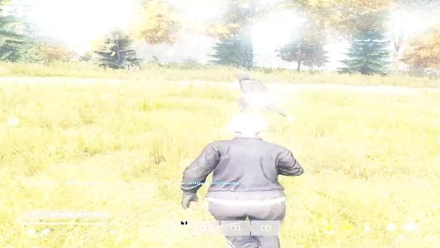 пошла масть #paradise #dayz смотреть онлайн