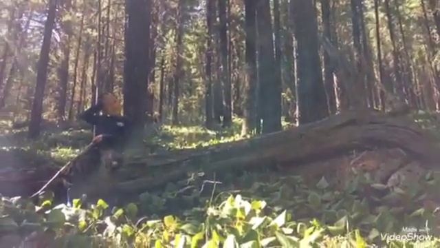 7 сентября 2017 г. смотреть онлайн