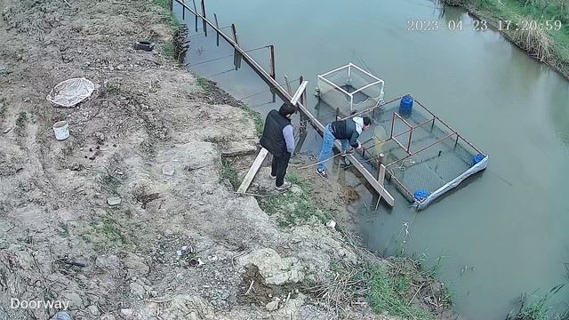 Вытащил хороший экземпляр на сачок смотреть онлайн