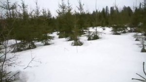 Мы отправились на поиски потерянного чемодана с аукциона, но все пошло не по плану...