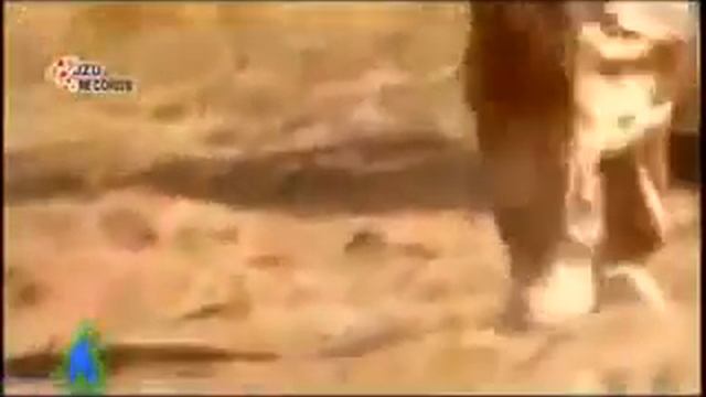 клипи точики 2014 8800 смотреть онлайн