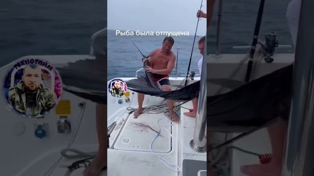 Прекрасное создание смотреть онлайн